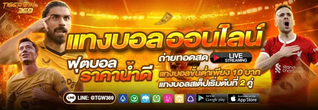 TIGERWINS ทางเข้า